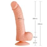 SEDUCER - 20- Function Passionate Lust - Imagen 3