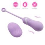 HUEVO VIBRADOR SEEKER DE 10 VELOCIDADES - Imagen 3